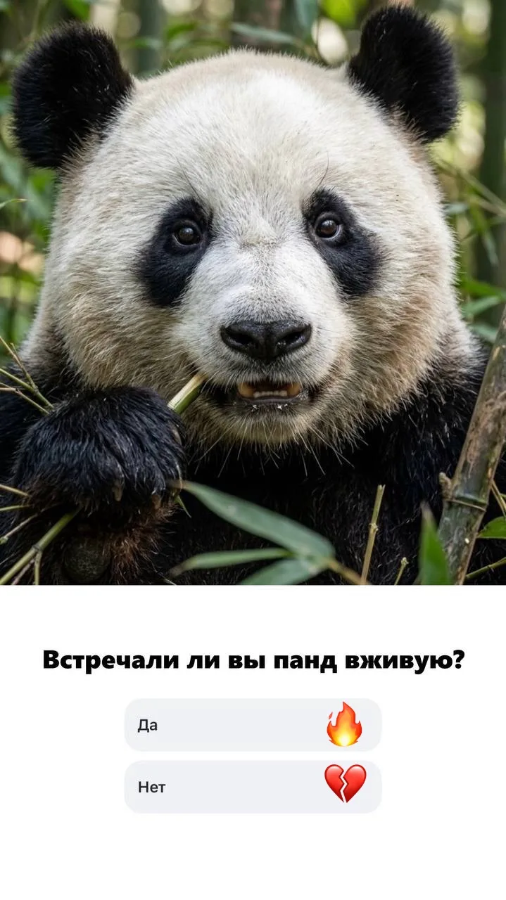 Смотрим классный тур в Китай? 🔥
