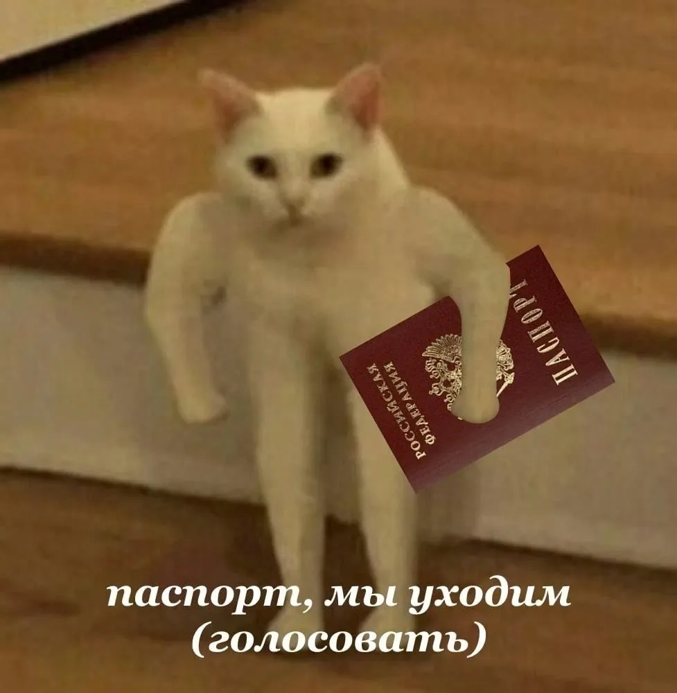 Оттенок сентября — бордовый! 🍁 Чем это вызвано? 🤔
