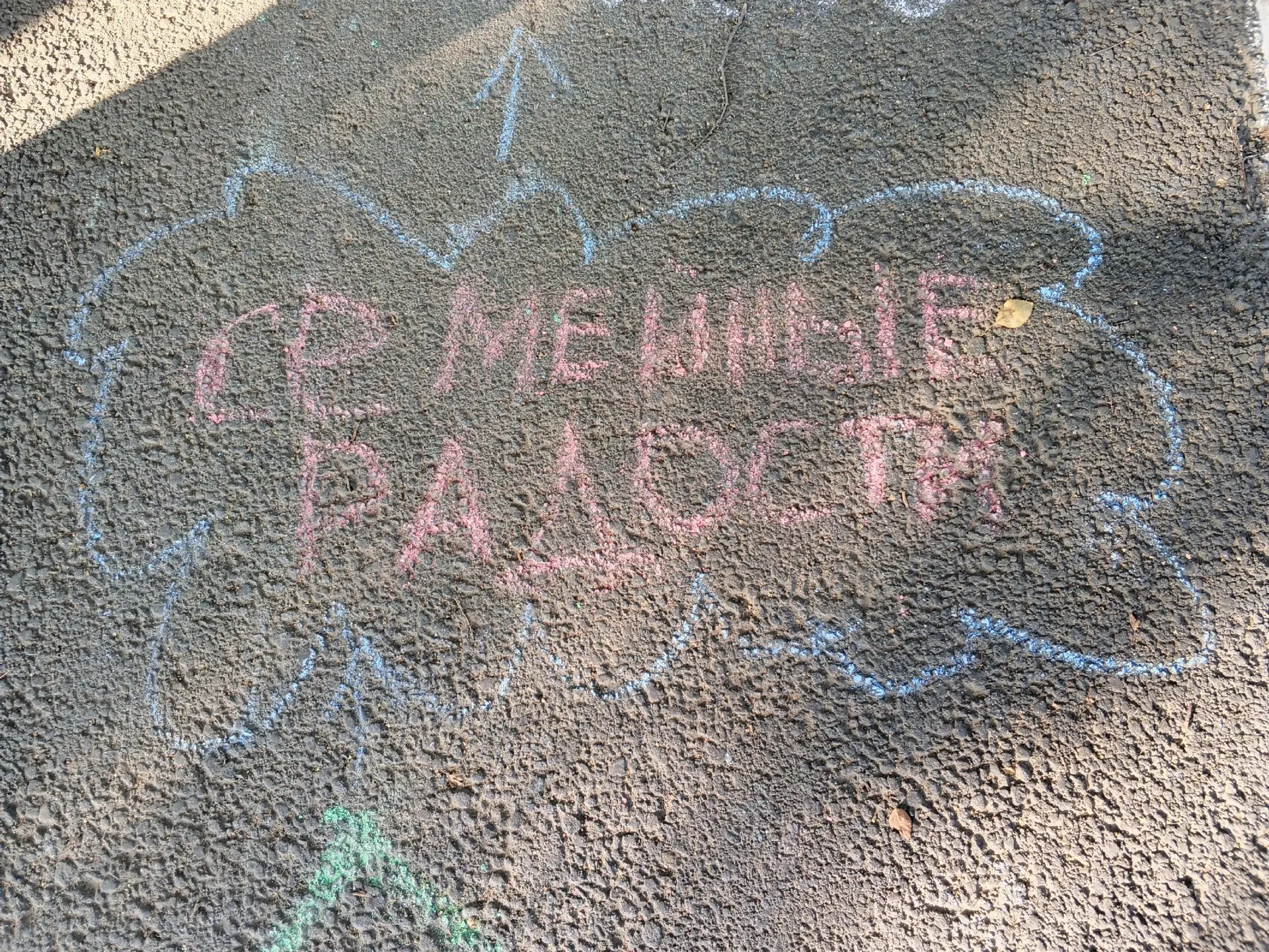 Семейные радости:новые встречи старых друзей🫂