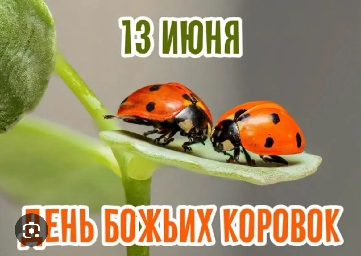 🐞 День божьей коровки в нашей младшей группе "Ладушки"!
Ребята познакомились с очаровательными божь