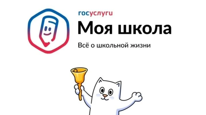 Уважаемые родители!
С июля 2026 года образовательные организации нашего региона переходят на единый 