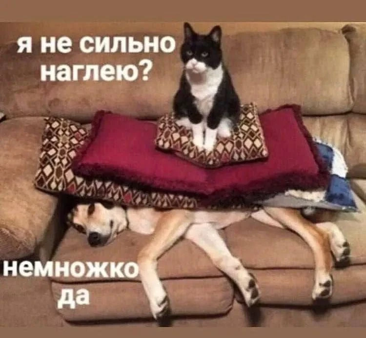 ПРУFИКИ В МАХ