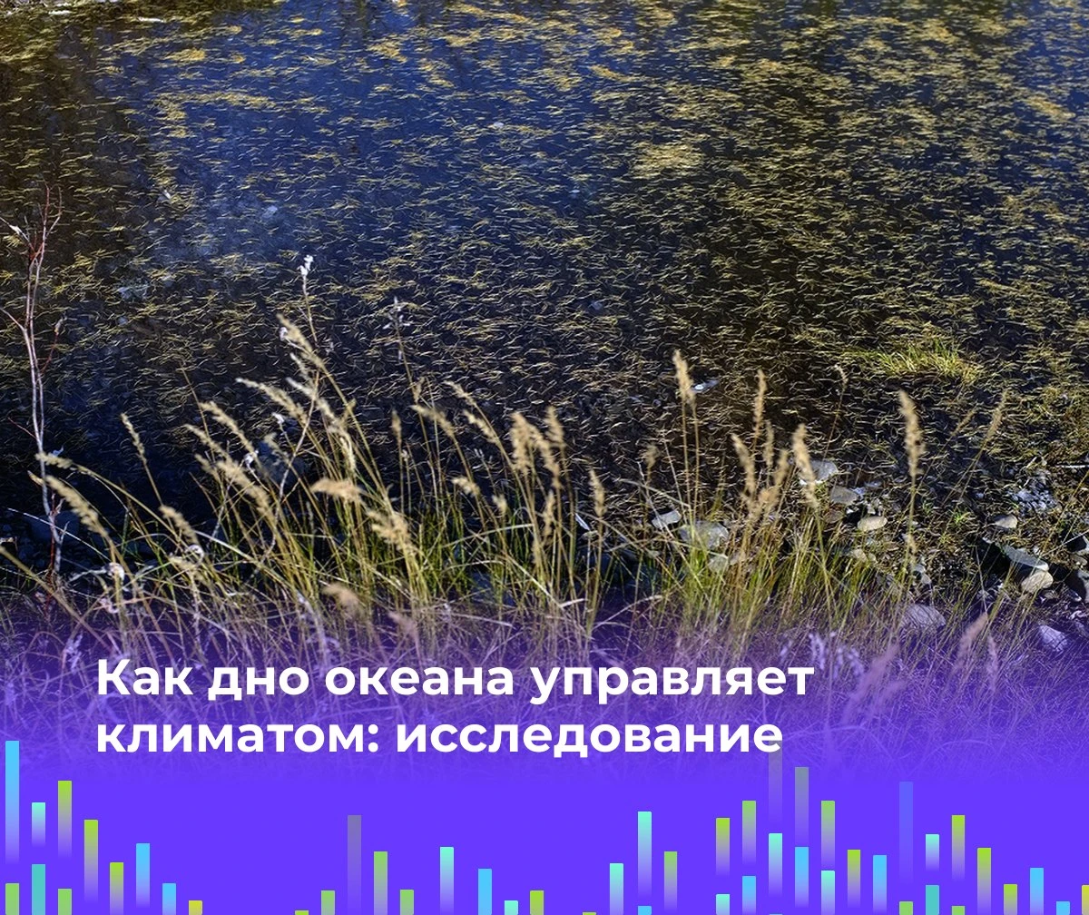 🌊 Как дно океана управляет климатом: исследование