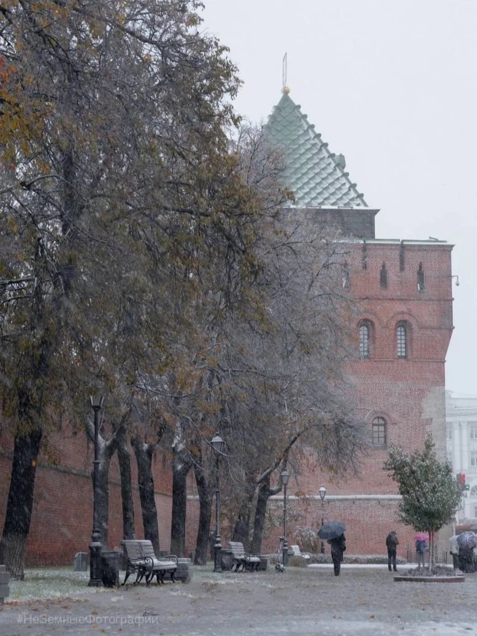 🥶 Нижегородцы, утепляемся — заморозки ожидаются в конце недели