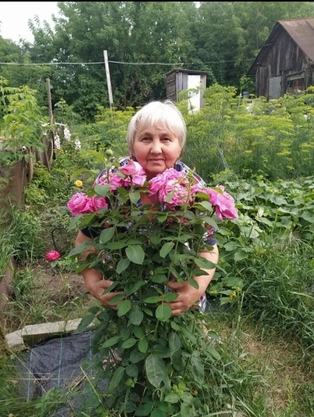 🌸Гарденотерапия — это удивительное путешествие в мир растений, которое дарит людям рад...