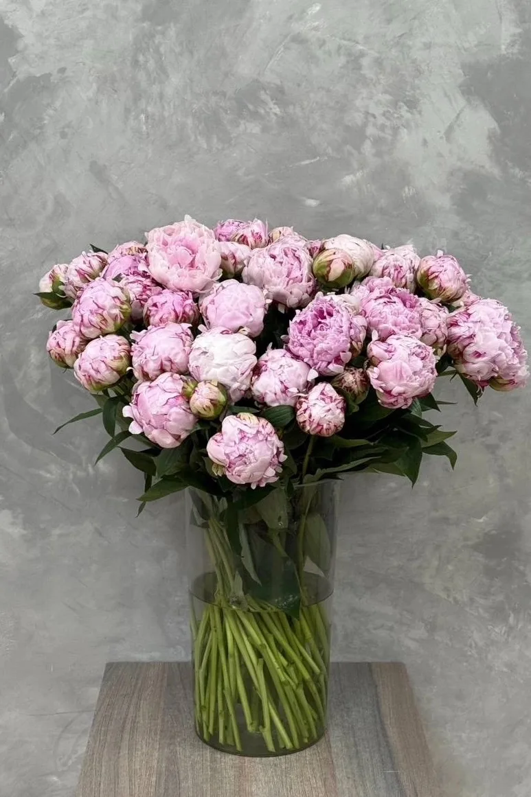 🌸 Пионы уже в нашем салоне! 🌸