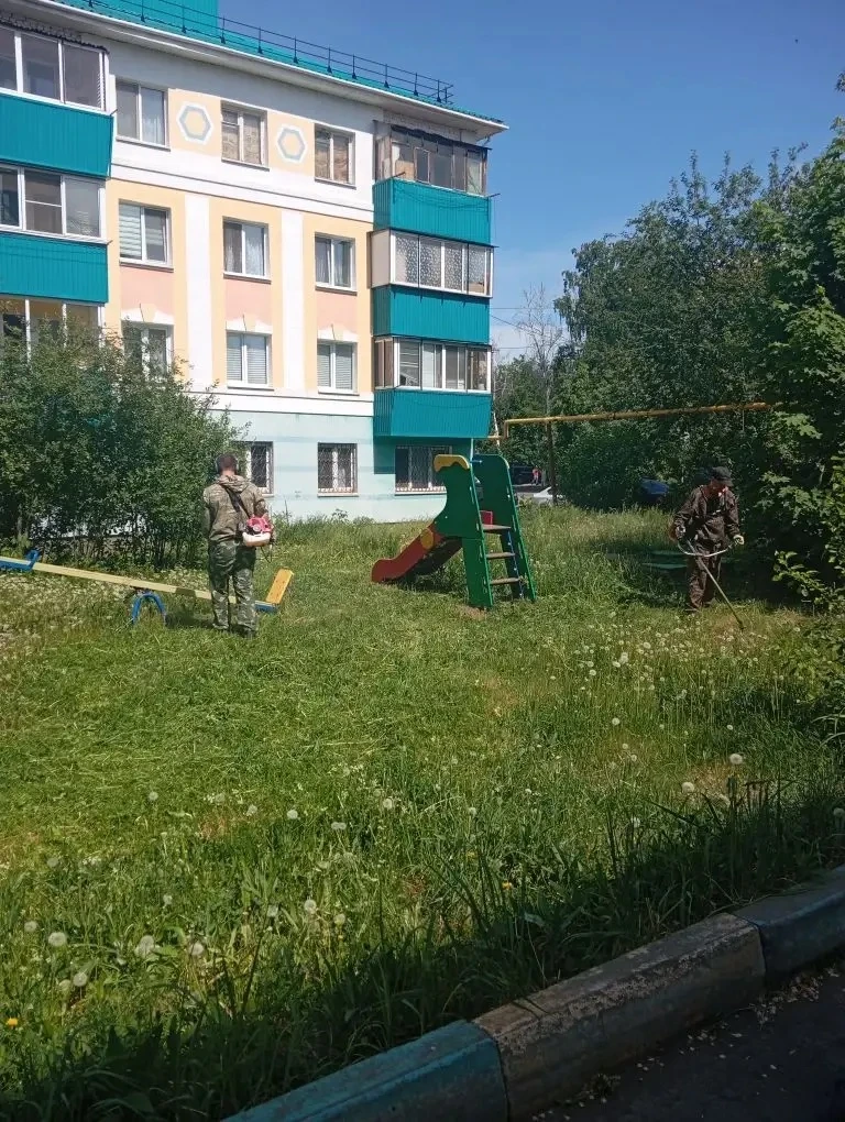 Во дворе жилого дома на Джалиля 27 управляющая компания провела покос травы.