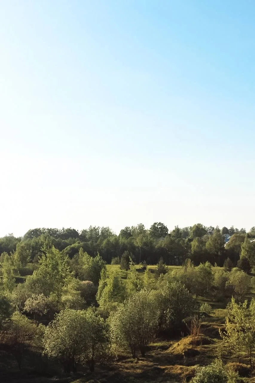 🌅Июльские дни бесконечно длинные, а закаты - яркие!