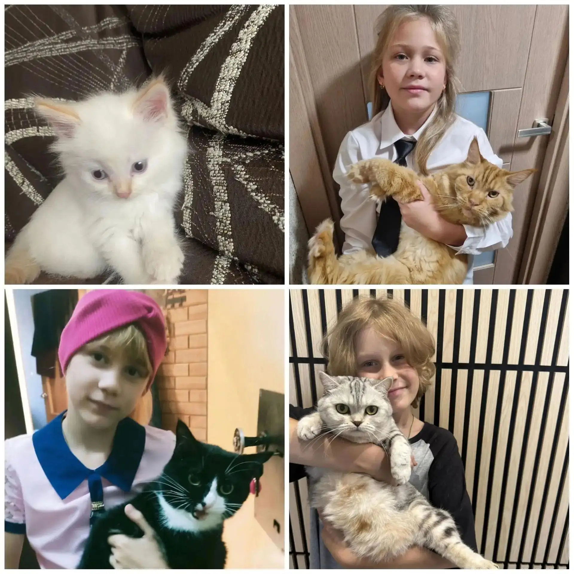 🐾 4 октября — Всемирный день защиты животных 🐾