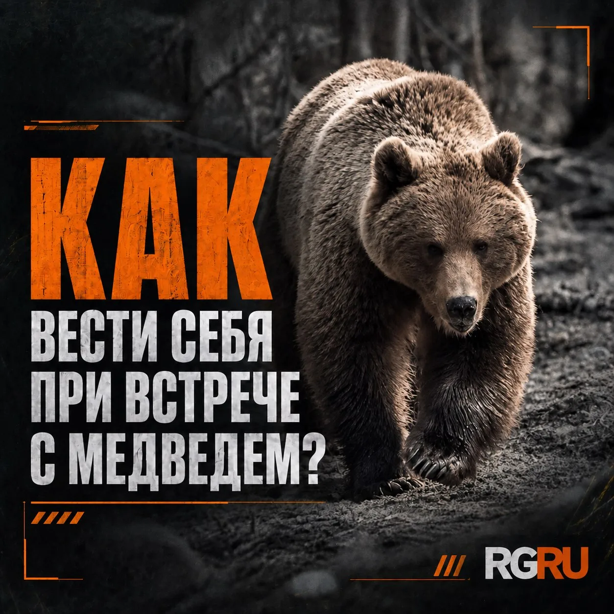 Убежать не получится