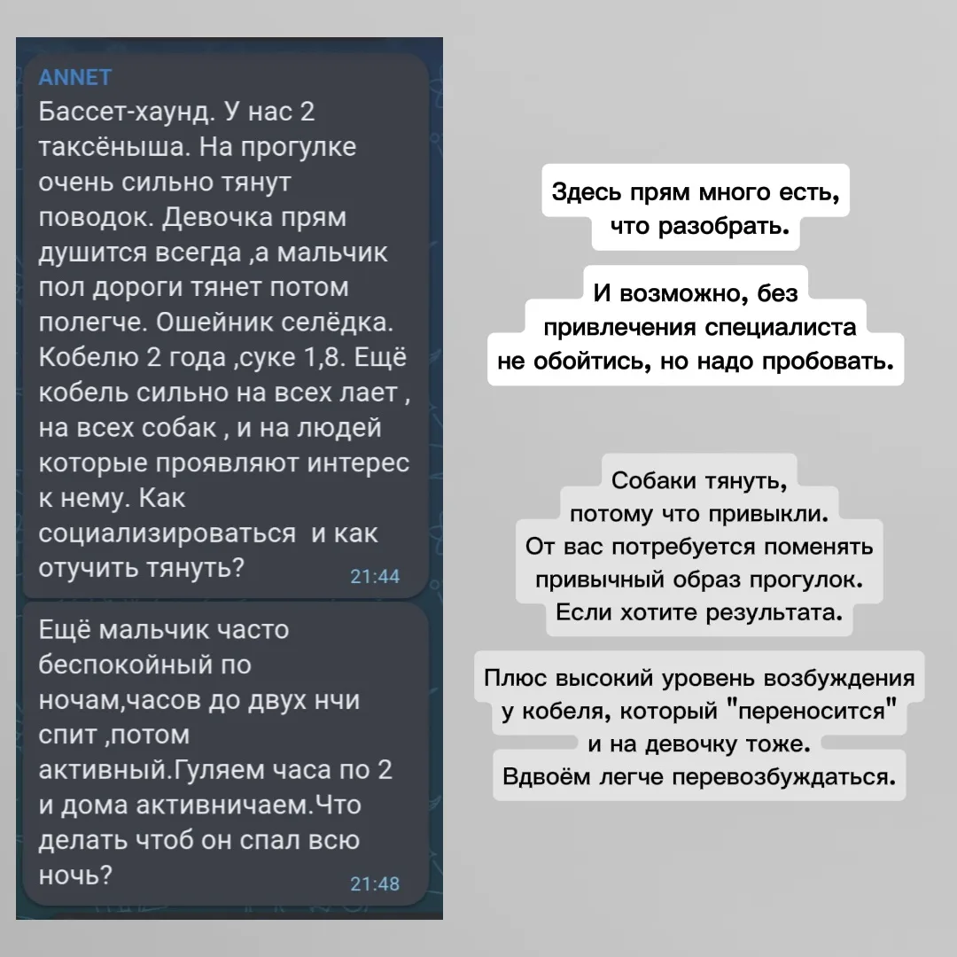 Очень интересный вопрос, вот основные аспекты