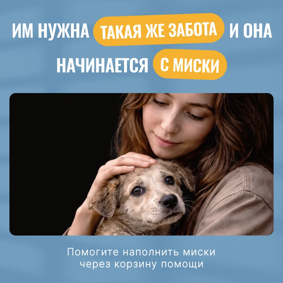 Им нужна такая же забота и она начинается с миски

Друзья, в приютах для бездомных животных по-прежн