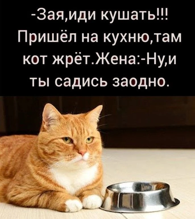 Подпишись, чтобы не потерять👇