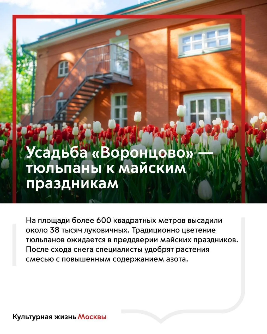 Настоящая весна — в пути: около 800 тысяч цветов распустятся в парках города  Подготовка к весеннему