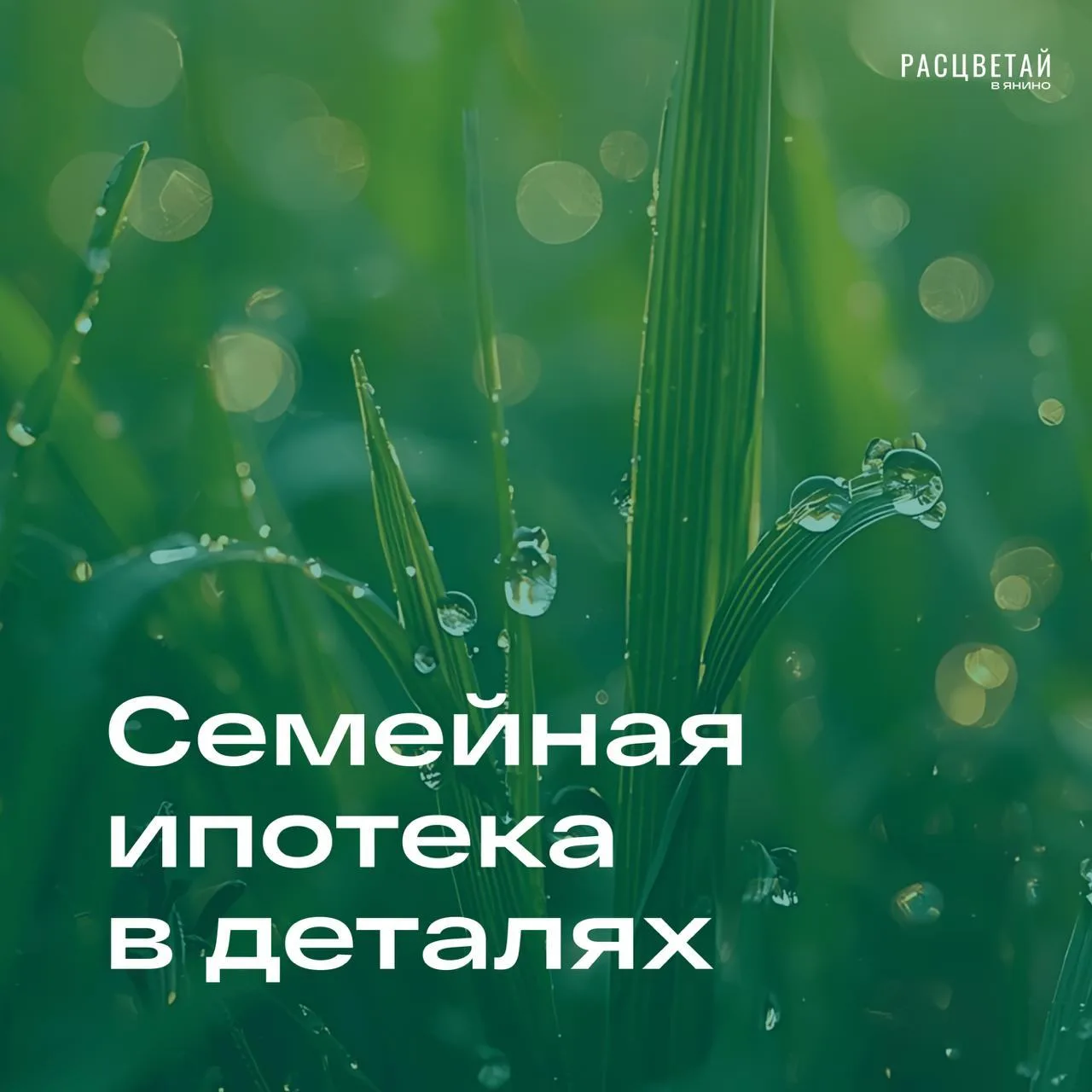 Что изменилось в Семейной ипотеке❓