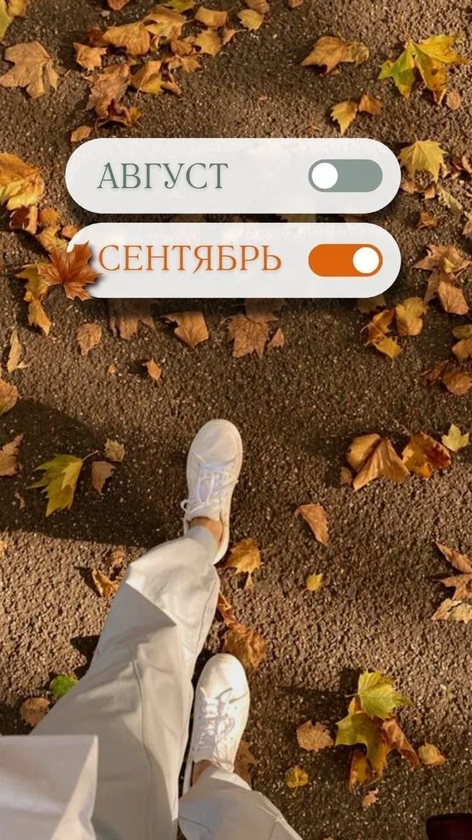 Коллеги, с утра думаю и никак не решу, что сегодня делать! Поздравлять? Или всё таки со...