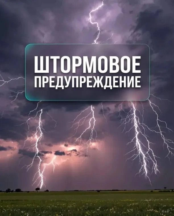 🌧 Штормовое предупреждение на Кубани с 8 по 10 августа.

В Краснодарском крае ожидаются сильные оса