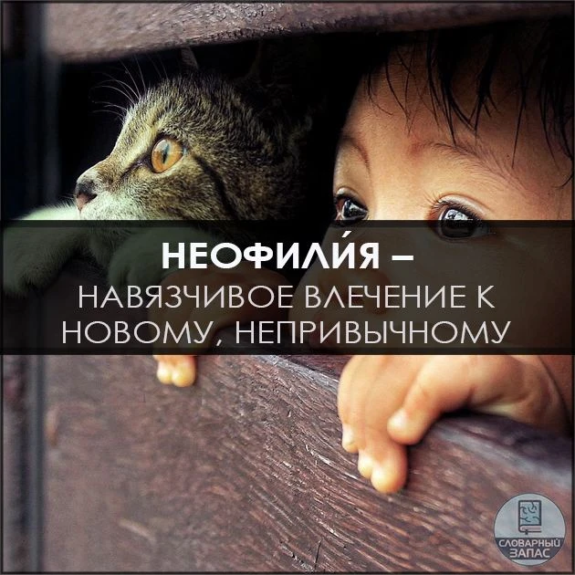 Как раз об этой черте, именуемой неофили́ей, написано в научной психологической литературе. 📚

Леон