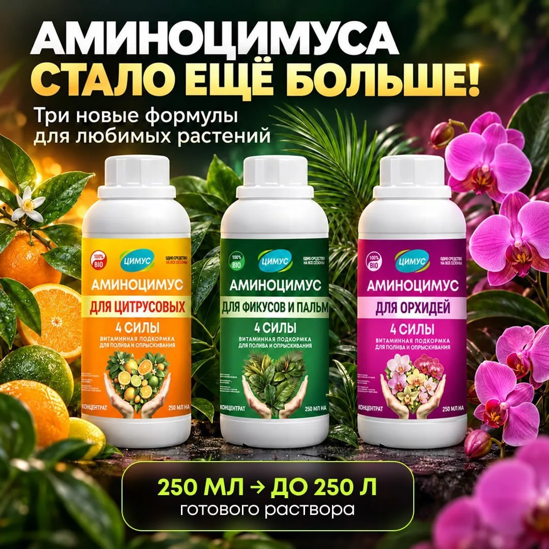 ТРИ НОВЫЕ ФОРМУЛЫ АМИНОЦИМУСА!