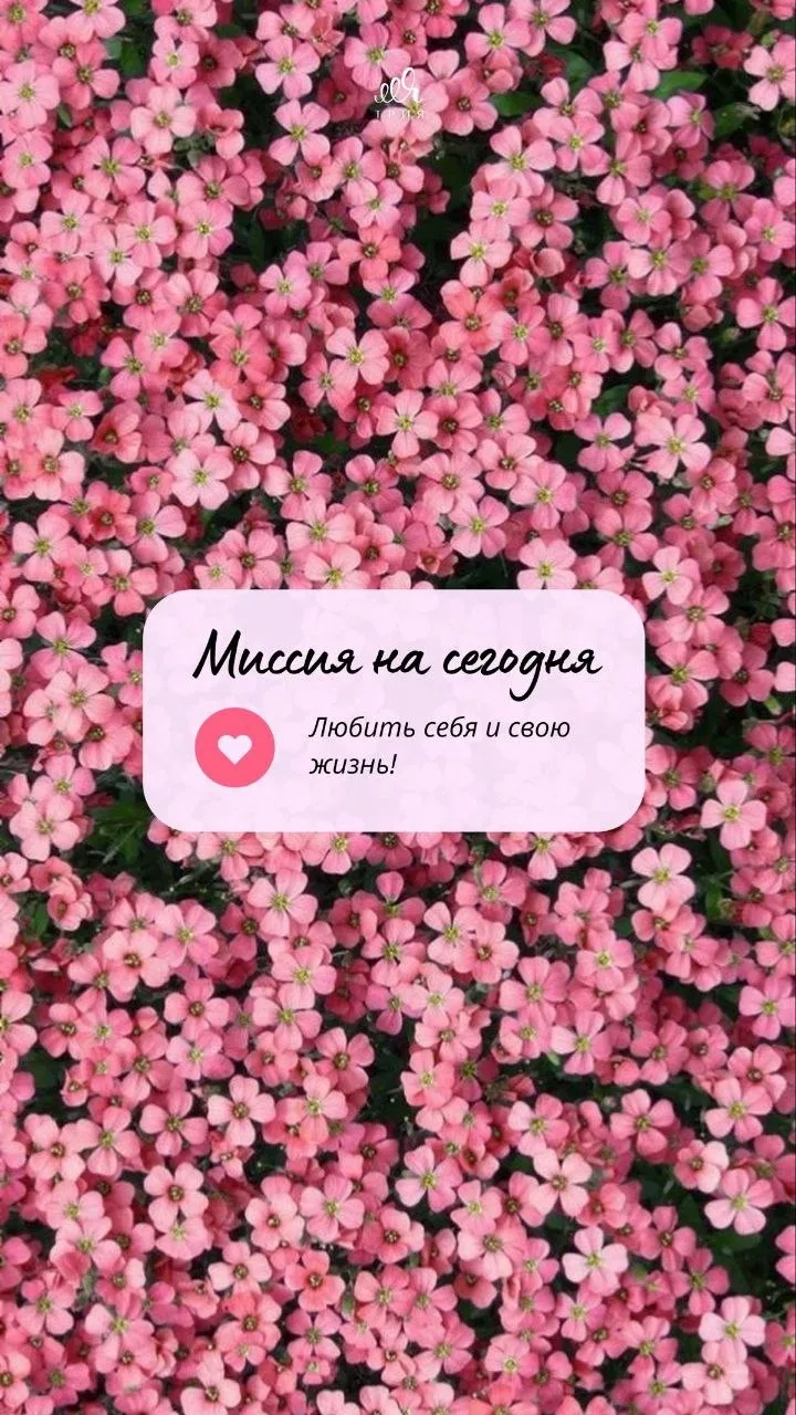 🥰 Оставляйте реакции, если понравилась открытка и делитесь с близкими ❤️

Лучшие Открытки в MAX