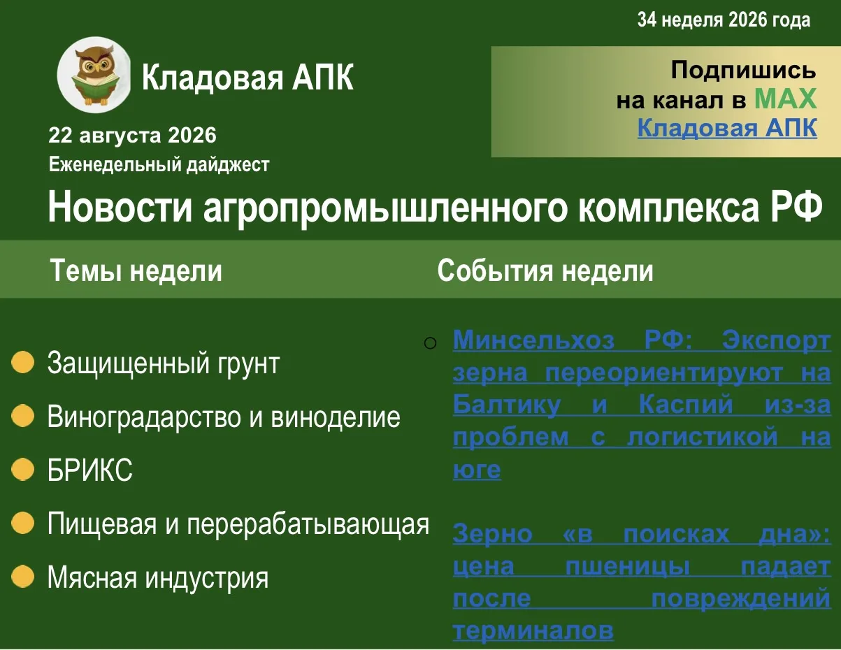 ☀️ Еженедельный дайджест: