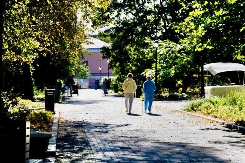 🌳 В Басманном проходят занятия по скандинавской ходьбе