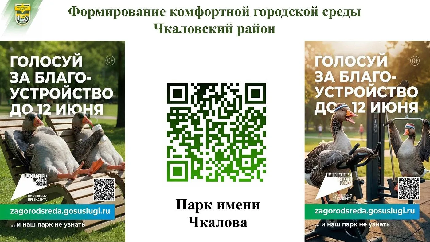 Голосуем за благоустройство парка им. Чкалова!