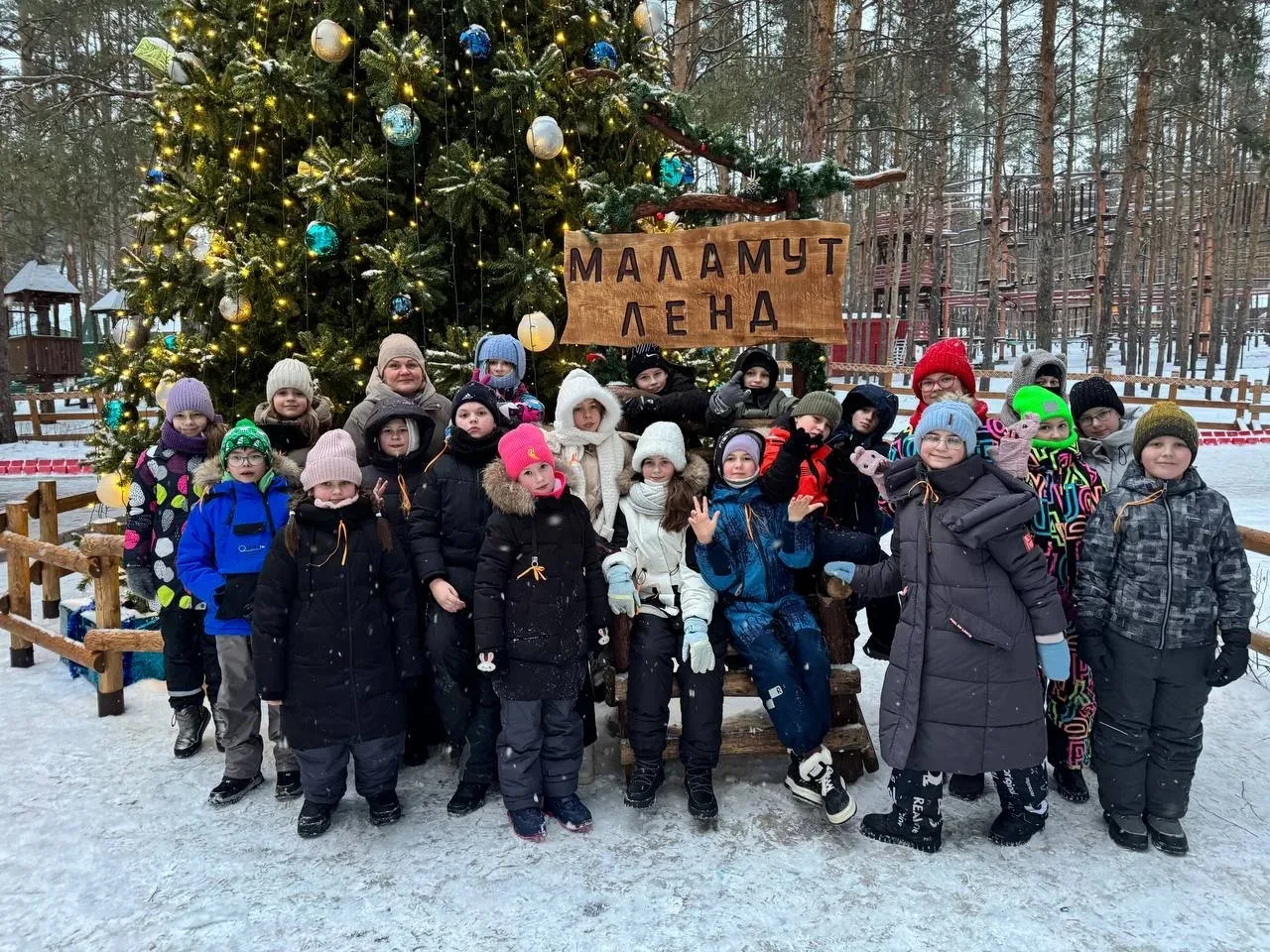 Новогодний привет от 4а класса!🎄 Ребята посетили "Маламут центр". Покатались на собачьих упряжках, п