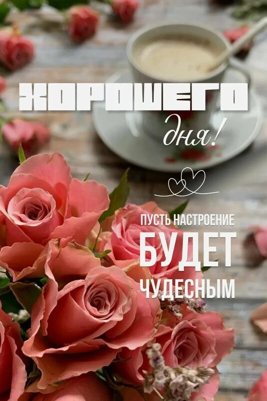 ♥️♥️♥️