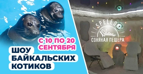 Скидка 50% на 2 билета на шоу байкальских котиков + абонемент в Speleon: https://pokupo...