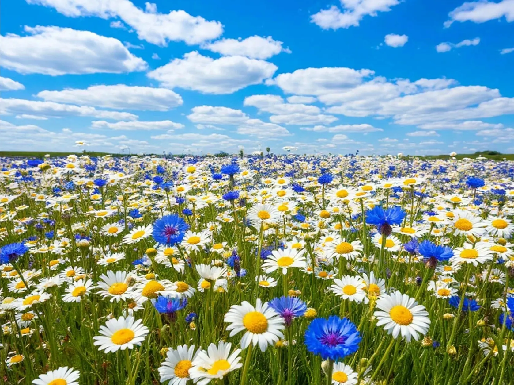 ⛅Доброе утро, друзья!
 
🗓️На календаре четверг, 18 июня 2026 года. 

🤗Пусть сегодня Вас наполняет 