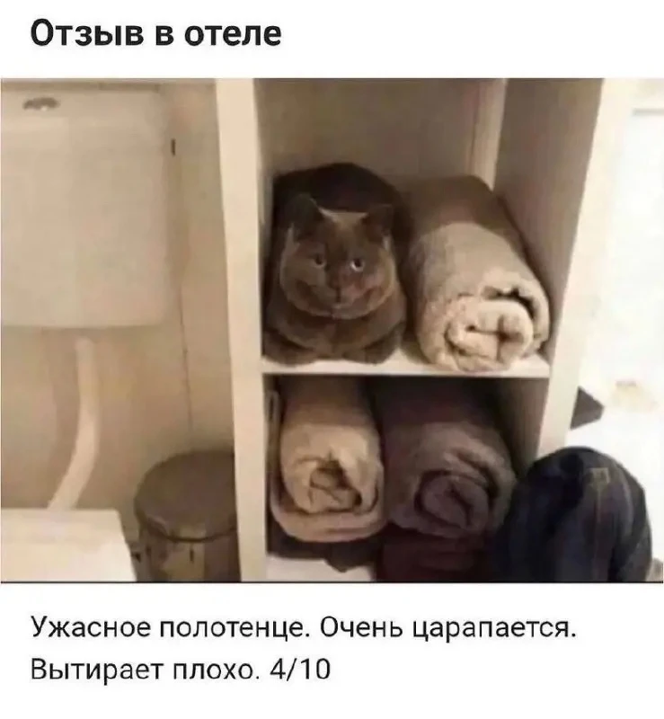 Весёлые анекдоты