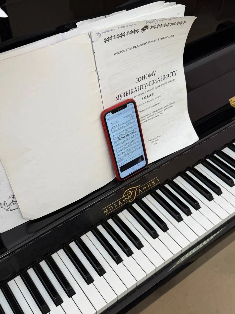 Юному музыканту-пианисту🎹