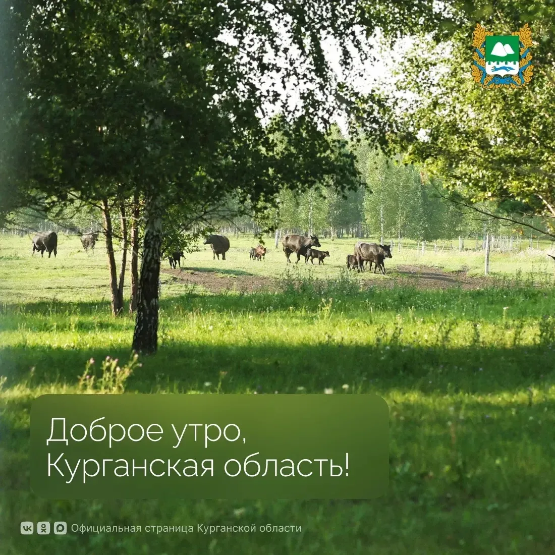 Доброе утро, Курганская область!

Температура за окном +26 градусов. Днём ожидается до +33

☀☁️
 
#К