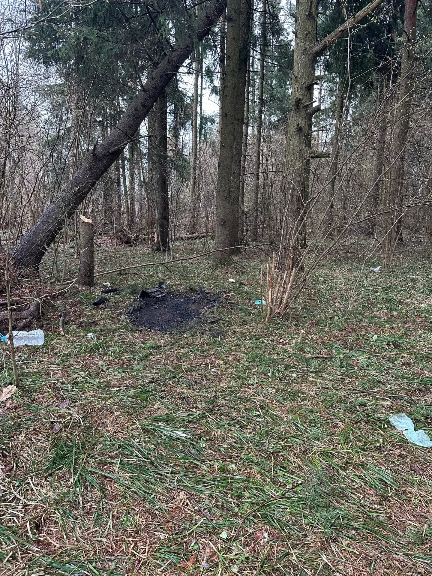 Позавчера днем гулял в песчаном карьере на Восточке, в районе обрыва, где стоят кресты, с зеленой па
