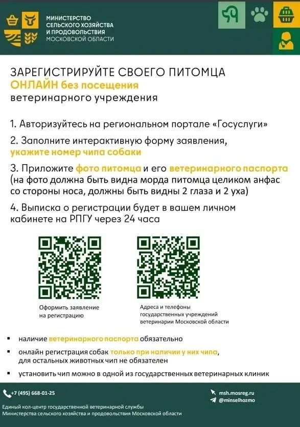 В Подмосковье действуют правила выгула домашних животных 🐶