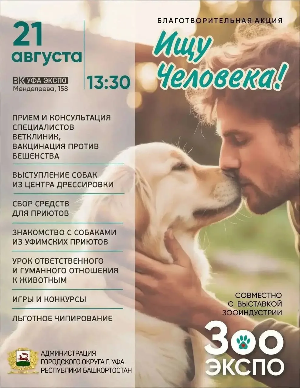В Уфе снова будут искать хозяев для бездомных животных.