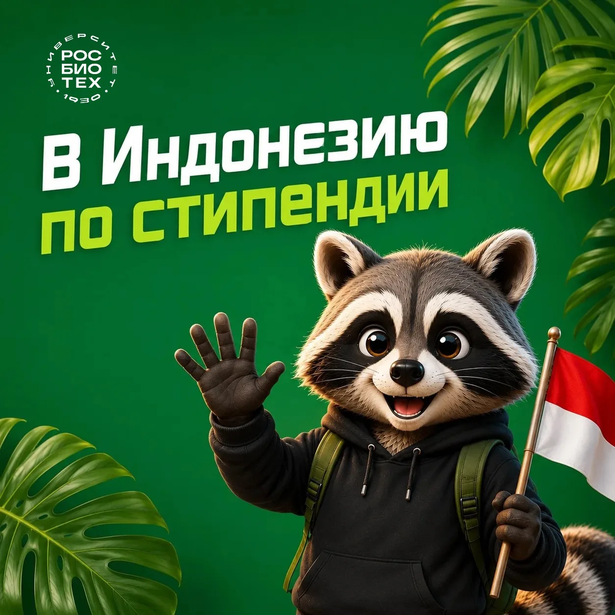 🌏 Учиться в Индонезии? Это реально!