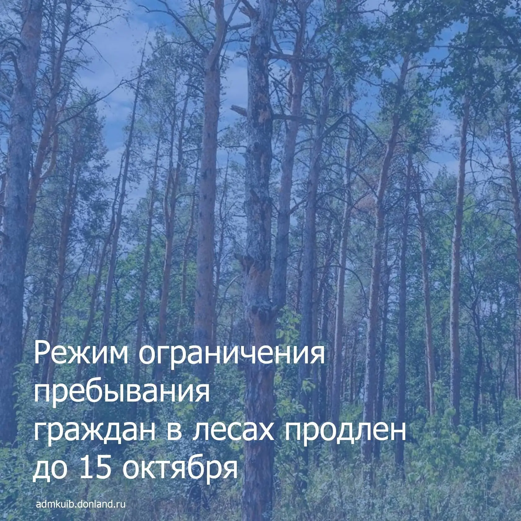 📌В Ростовской области ограничено пребывание граждан в лесах, а также въезд ️ транспорт...