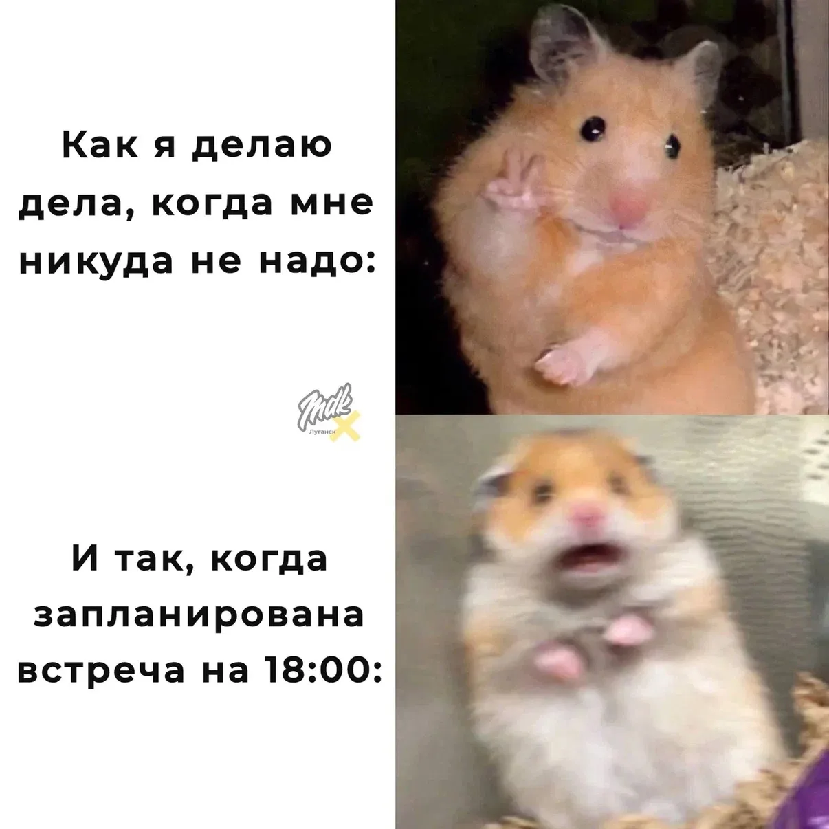 Никакого спокойствия в этой бренной жизни