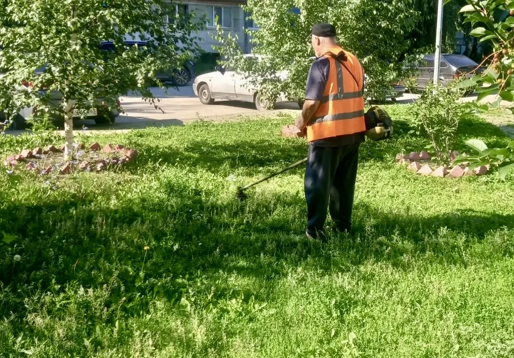 🧹Утренняя уборка придомовой территории и покос травы по адресам: