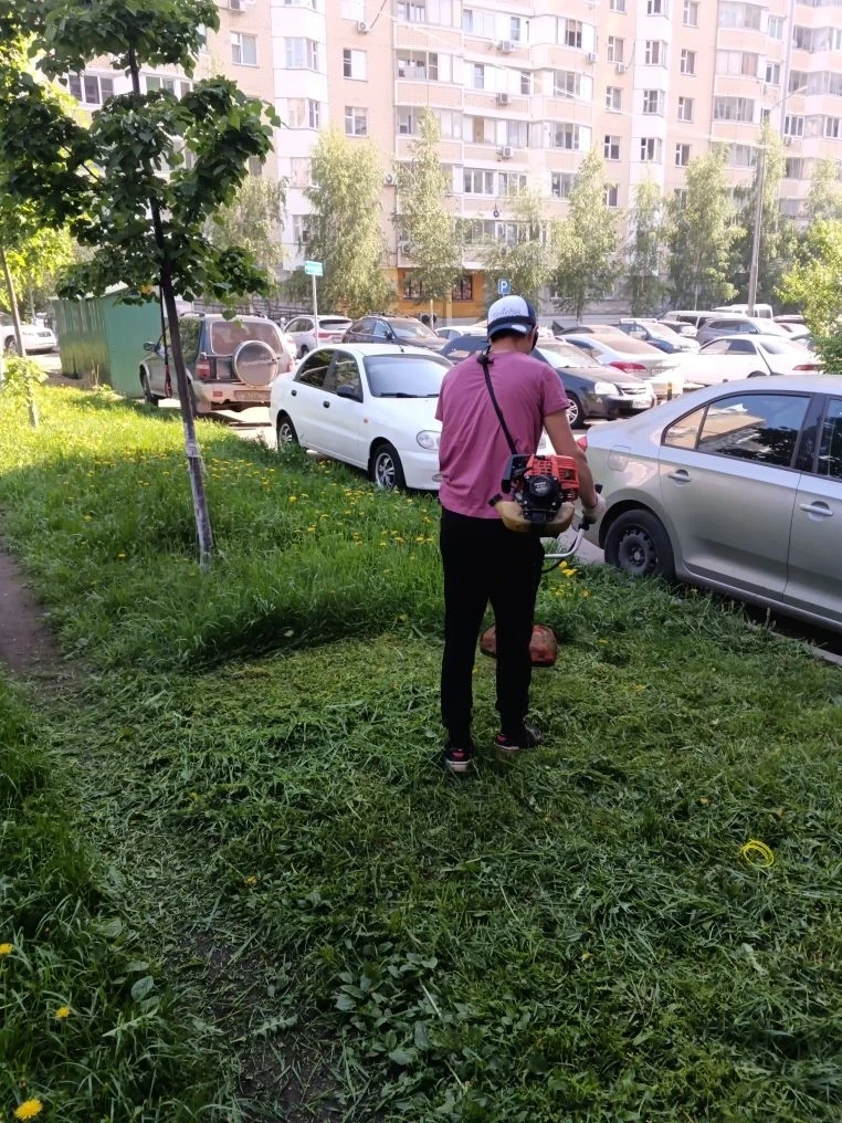 Сезон наведения порядка в разгаре