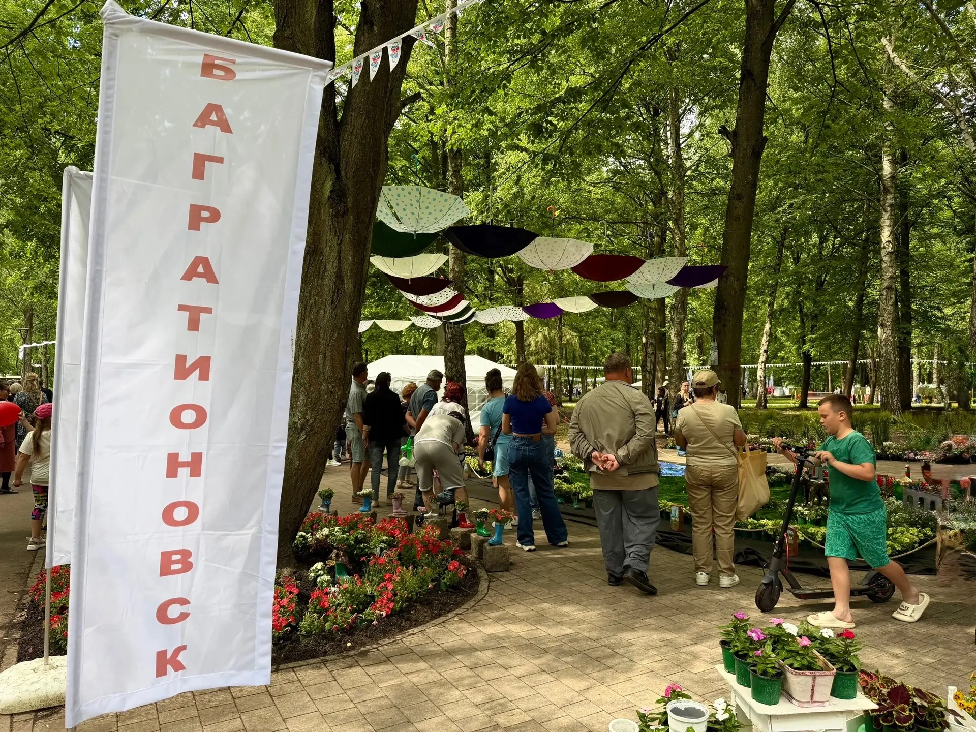 💐 Фестиваль «Цветы России» в Черняховске: итоги второго дня!

Второй день межмуниципального фестива