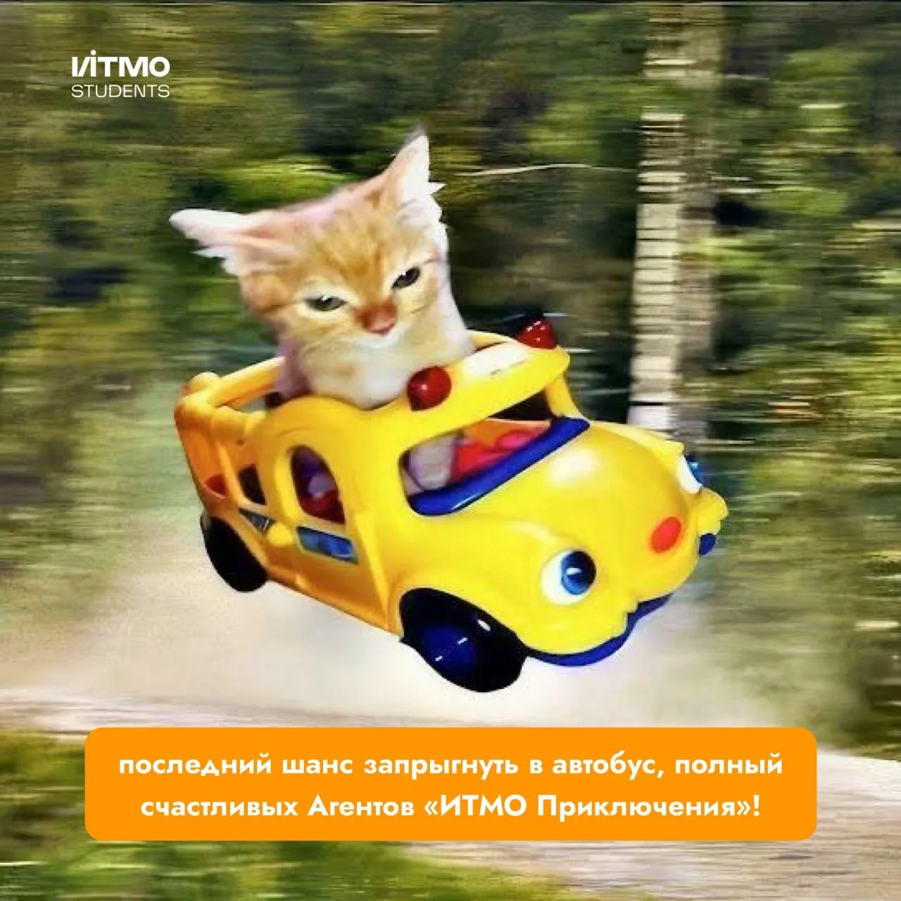 Что-то это всё напоминает... Ах да!

Проверь, что успел заполнить заявку и стать агентом «ИТМО Прикл