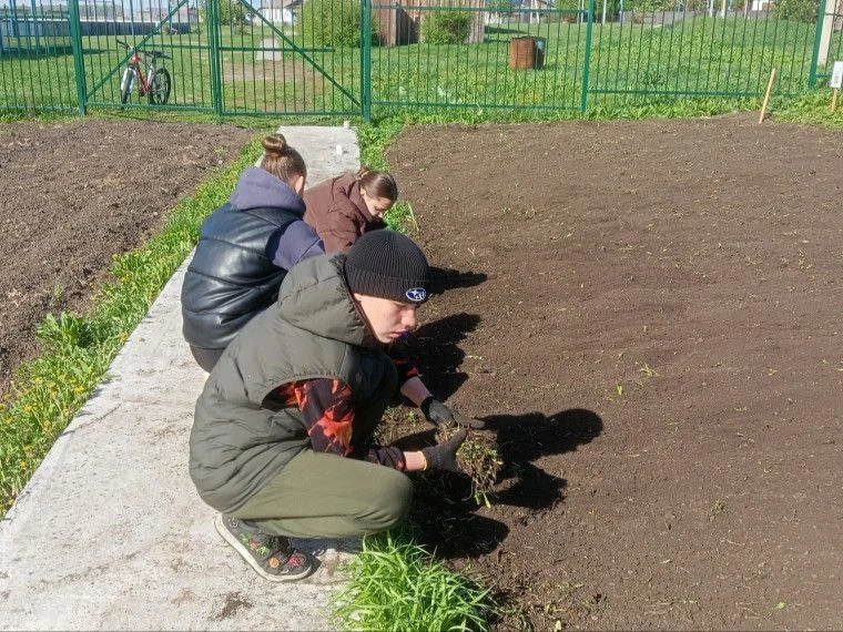 15 мая под руководством и непосредственном участии профессора Донского аграрного универ...