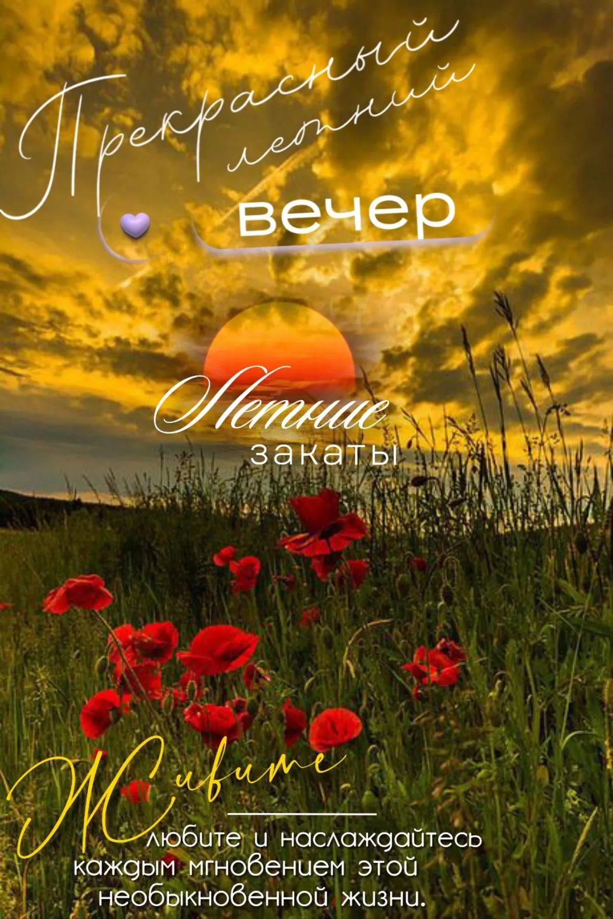🌷 Открытки подписаться 👈