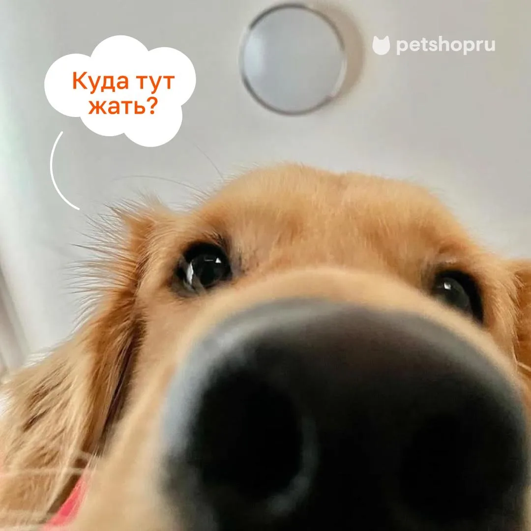 А вот и промокод!
