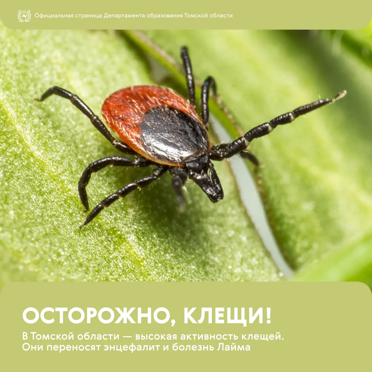⚠️ Безопасность начинается с простых правил