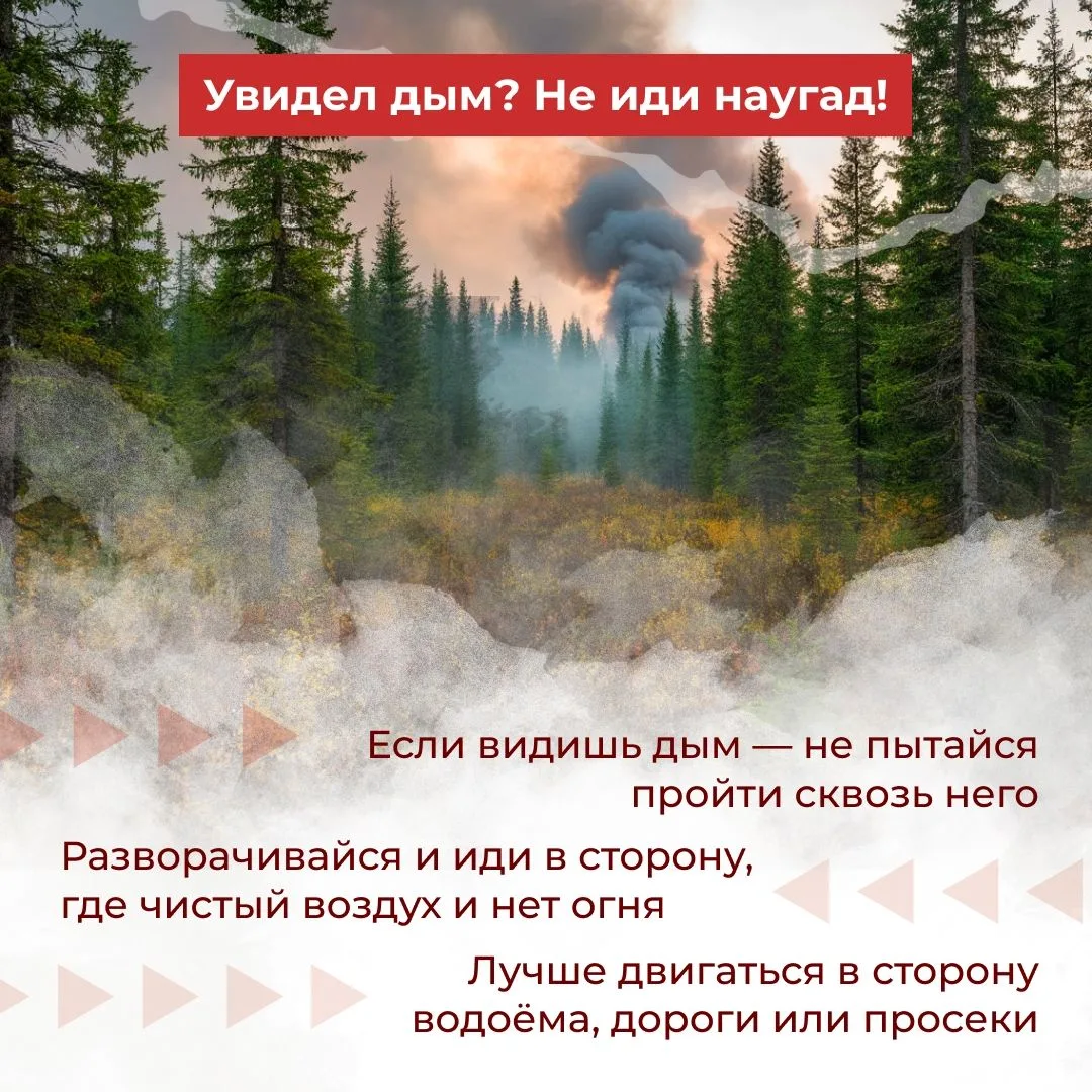 😱Лесной пожар – это страшно. Но паника – ещё хуже.
 
💨Если ты оказался в лесу и почувствовал запах