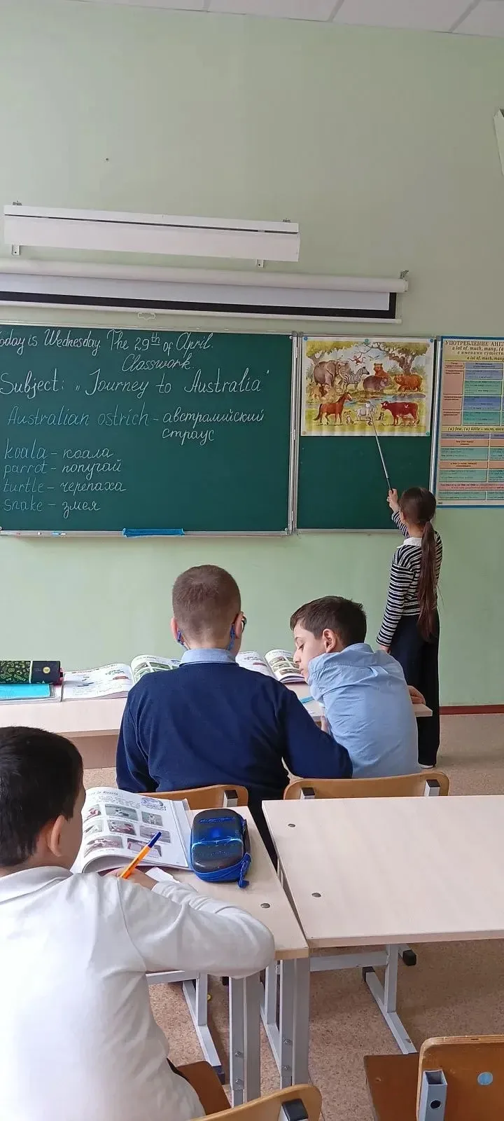🐨 Неделя английского языка: 2 «А» покоряет Австралию!  Наши маленькие путешественники из корпуса на 